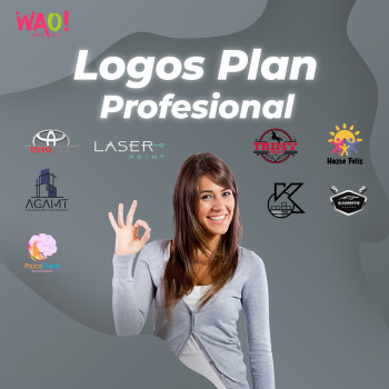 Plan Profesional